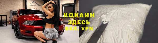 индика Алексин