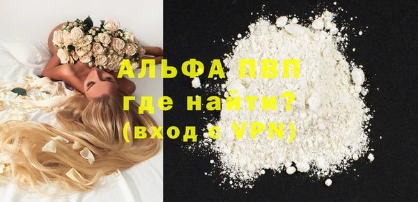 индика Алексин