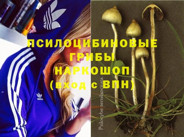 ПСИЛОЦИБИНОВЫЕ ГРИБЫ Алзамай