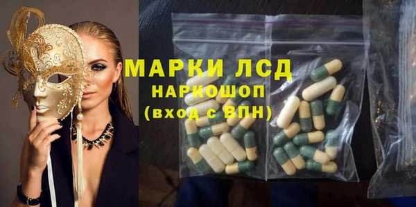 индика Алексин