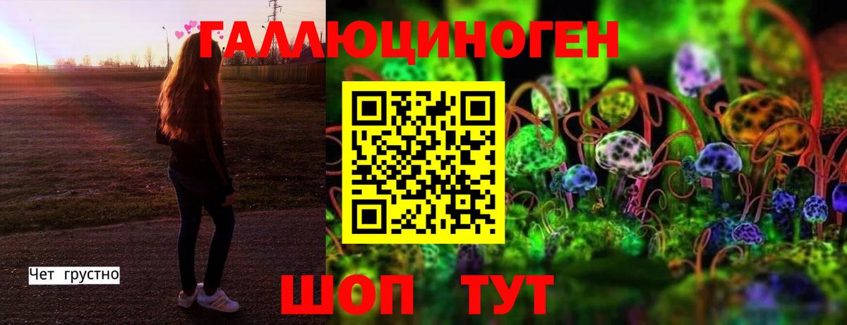 Галлюциногенные грибы Psilocybe Богородск